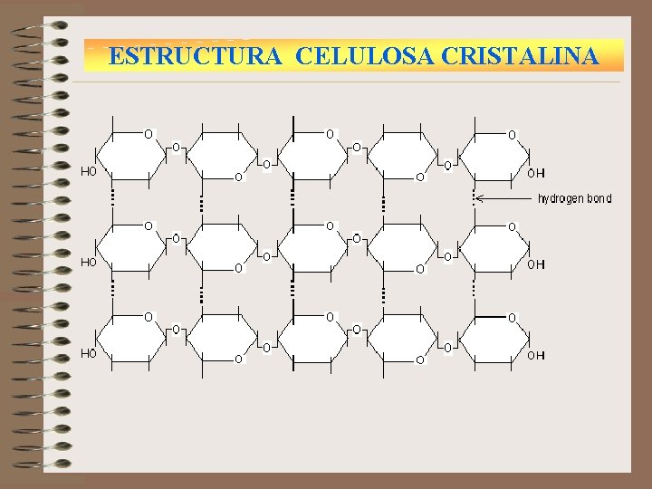 ESTRUCTURA CELULOSA CRISTALINA 
