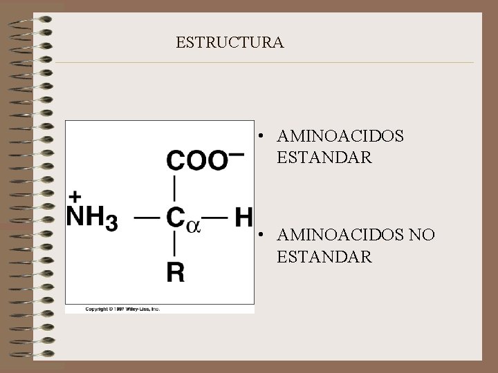 ESTRUCTURA • AMINOACIDOS ESTANDAR • AMINOACIDOS NO ESTANDAR 