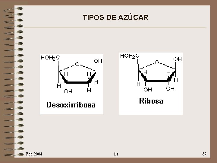 TIPOS DE AZÚCAR Feb 2004 lis 89 