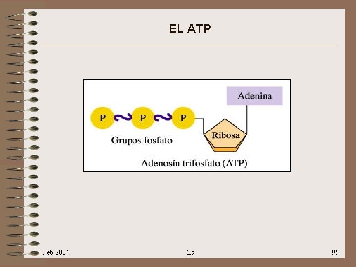 EL ATP Feb 2004 lis 95 