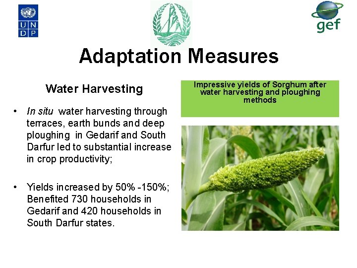 Adaptation Measures Water Harvesting • In situ water harvesting through terraces, earth bunds and Adaptation Measures Water Harvesting • In situ water harvesting through terraces, earth bunds and