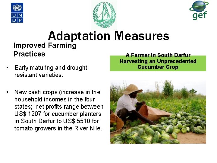 Adaptation Measures Improved Farming Practices • Early maturing and drought resistant varieties. • New Adaptation Measures Improved Farming Practices • Early maturing and drought resistant varieties. • New