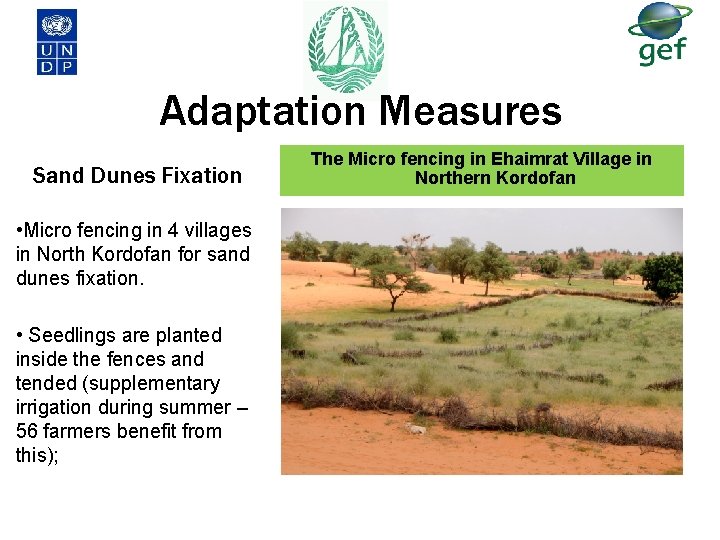Adaptation Measures Sand Dunes Fixation • Micro fencing in 4 villages in North Kordofan Adaptation Measures Sand Dunes Fixation • Micro fencing in 4 villages in North Kordofan