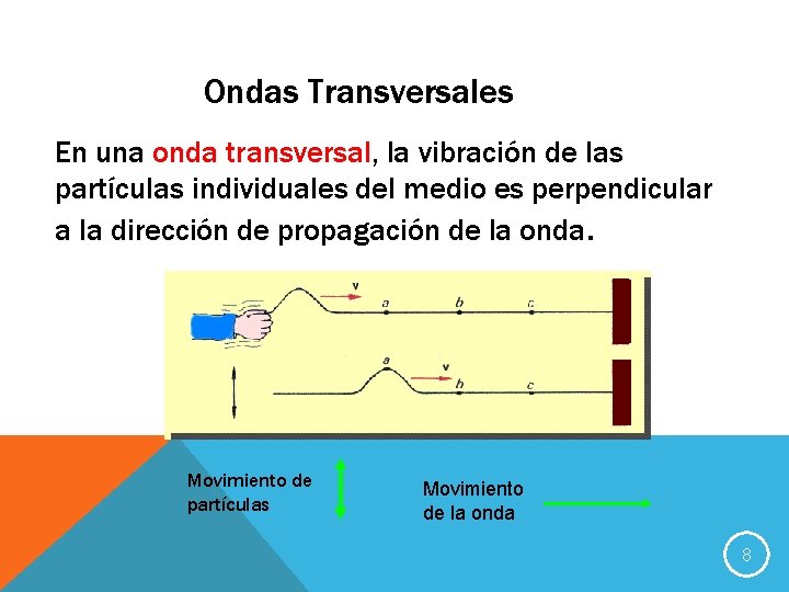 Ondas Transversales En una onda transversal, la vibración de las partículas individuales del medio