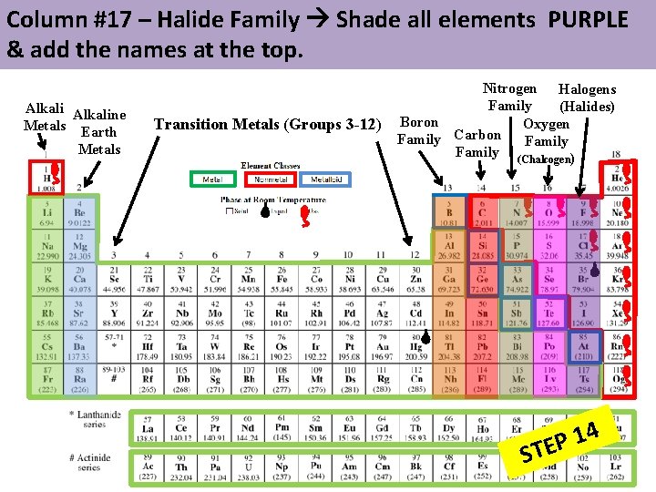 Column #17 – Halide Family Shade all elements PURPLE & add the names at