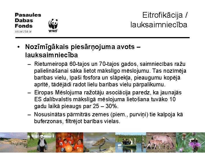 Eitrofikācija / lauksaimniecība • Nozīmīgākais piesārņojuma avots – lauksaimniecība – Rietumeiropā 60 -tajos un