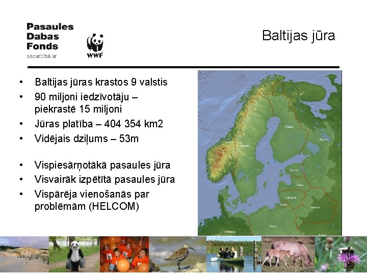 Baltijas jūra • • Baltijas jūras krastos 9 valstis 90 miljoni iedzīvotāju – piekrastē