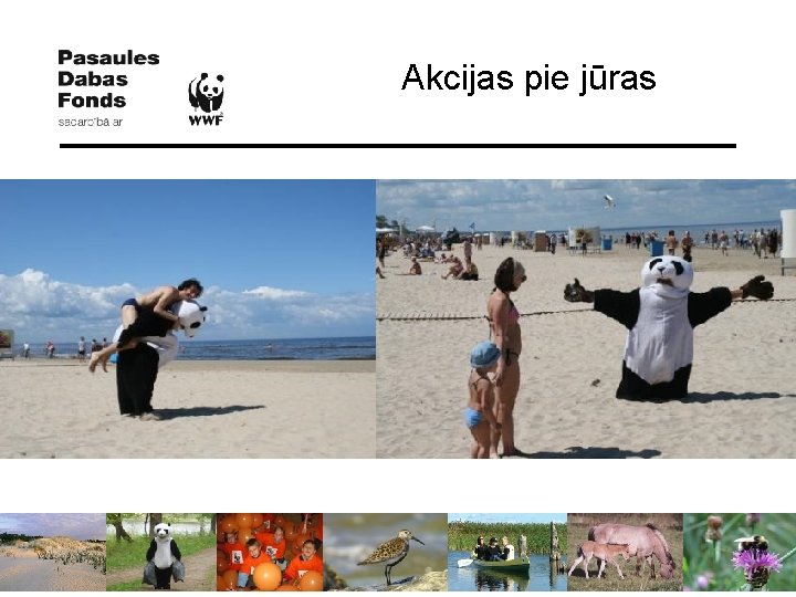 Akcijas pie jūras 