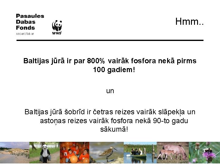 Hmm. . Baltijas jūrā ir par 800% vairāk fosfora nekā pirms 100 gadiem! un