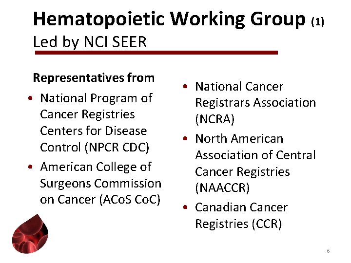 Hematopoietic Working Group (1) Led by NCI SEER Representatives from • National Program of