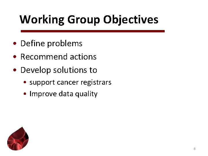 Working Group Objectives • Define problems • Recommend actions • Develop solutions to •