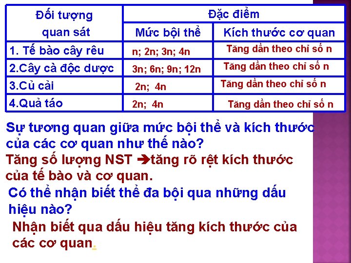 Đối tượng quan sát Đặc điểm Mức bội thể Kích thước cơ quan 1.