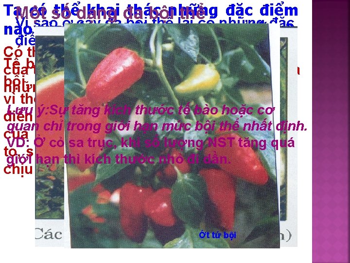 Ta. Một có số thểdạng khai đa thác bộinhững thể đặc điểm Vì sao