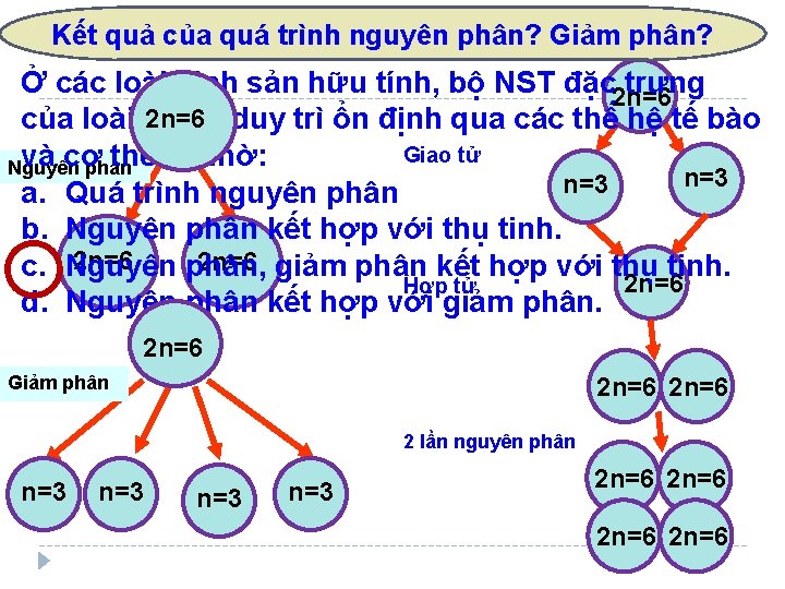 Kết quả của quá trình nguyên phân? Giảm phân? Ở các loài sinh sản