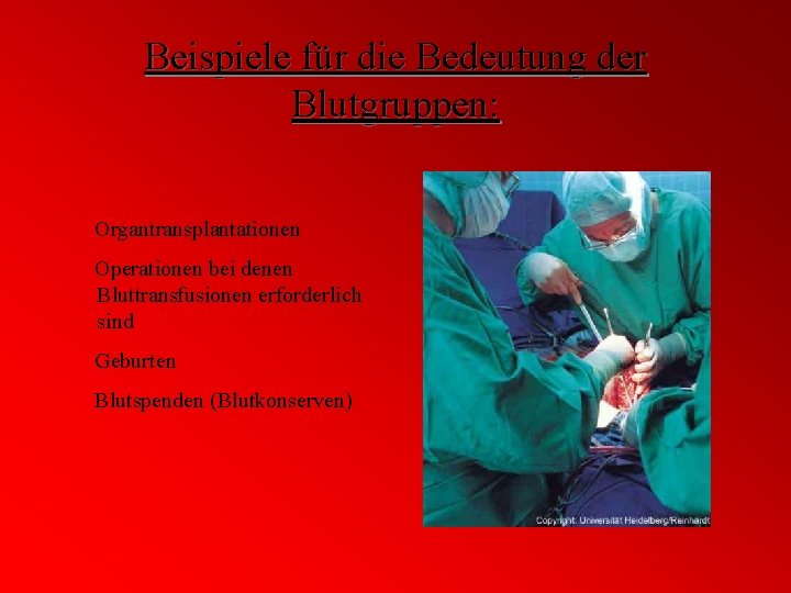 Beispiele für die Bedeutung der Blutgruppen: Organtransplantationen Operationen bei denen Bluttransfusionen erforderlich sind Geburten