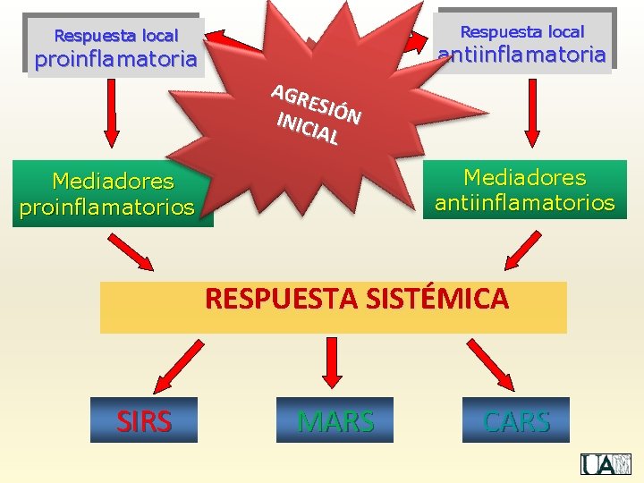 Respuesta local proinflamatoria AGRESIÓN AINICIAL GRE S INIC IÓN IAL antiinflamatoria Mediadores antiinflamatorios Mediadores