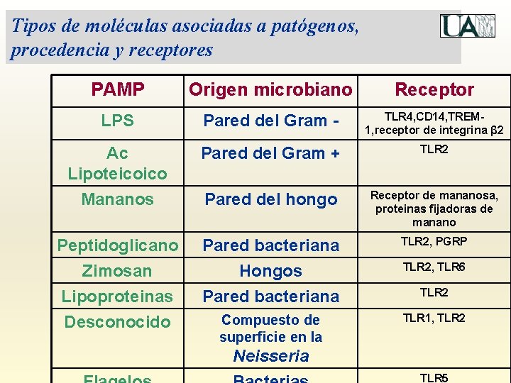 Tipos de moléculas asociadas a patógenos, procedencia y receptores PAMP Origen microbiano Receptor LPS