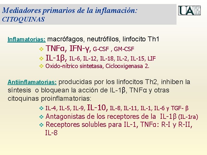 Mediadores primarios de la inflamación: CITOQUINAS Inflamatorias: macrófagos, neutrófilos, linfocito Th 1 v TNFα,