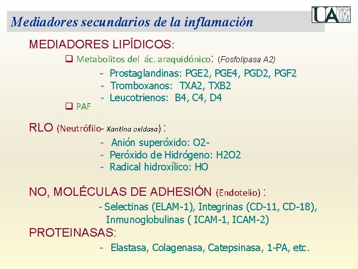Mediadores secundarios de la inflamación MEDIADORES LIPÍDICOS: q Metabolitos del ác. araquidónico: (Fosfolipasa A