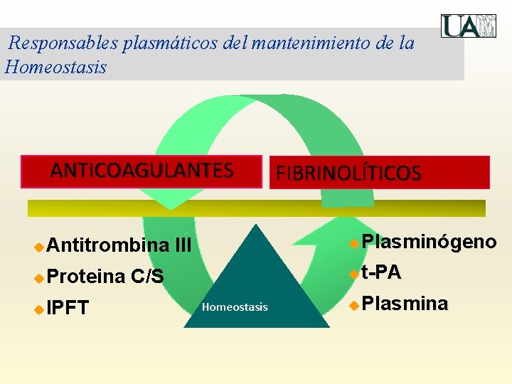 Responsables plasmáticos del mantenimiento de la Homeostasis ANTICOAGULANTES FIBRINOLÍTICOS u Antitrombina III u Plasminógeno