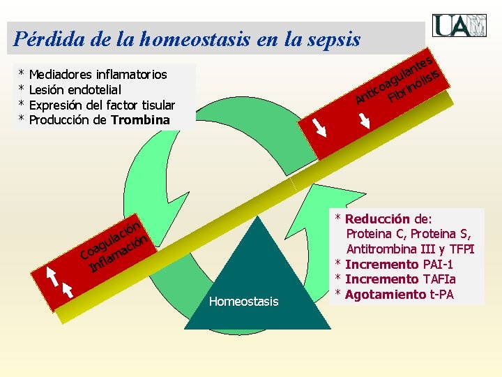 Pérdida de la homeostasis en la sepsis * * tes n ula lisis g