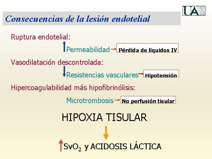 Consecuencias de la lesión endotelial Ruptura endotelial: Permeabilidad Pérdida de líquidos IV Vasodilatación descontrolada:
