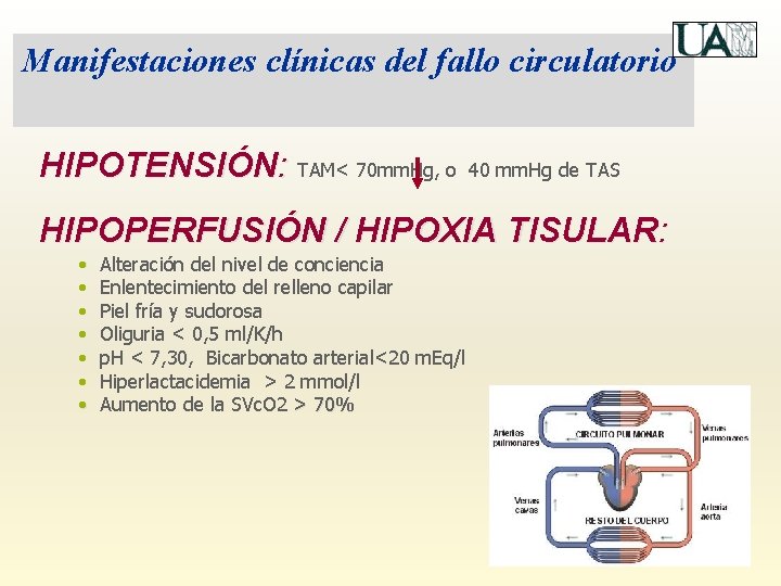 Manifestaciones clínicas del fallo circulatorio HIPOTENSIÓN: TAM< 70 mm. Hg, o 40 mm. Hg