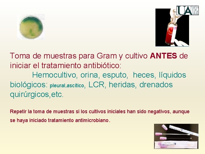 Toma de muestras para Gram y cultivo ANTES de iniciar el tratamiento antibiótico: Hemocultivo,