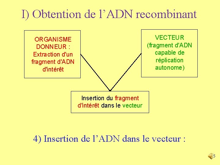 I) Obtention de l’ADN recombinant VECTEUR (fragment d'ADN capable de réplication autonome) ORGANISME DONNEUR