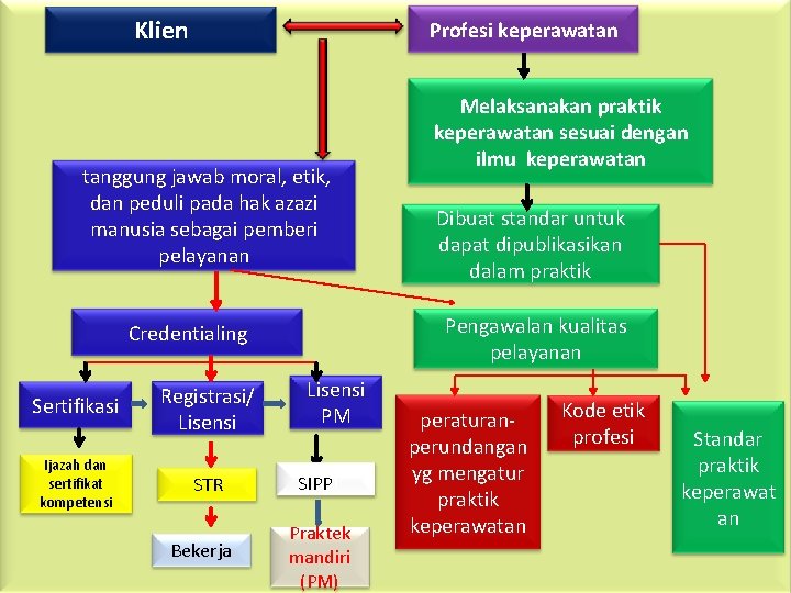 Klien Profesi keperawatan tanggung jawab moral, etik, dan peduli pada hak azazi manusia sebagai