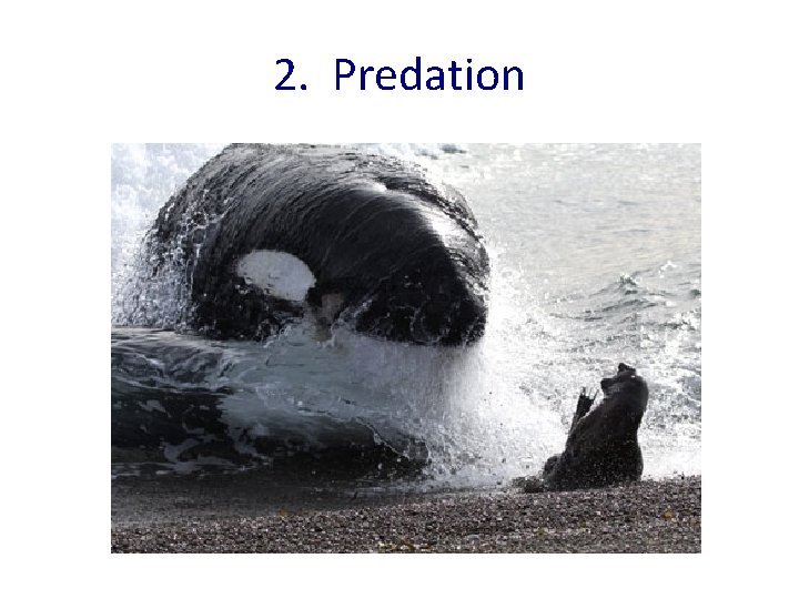 2. Predation 2. Predation
