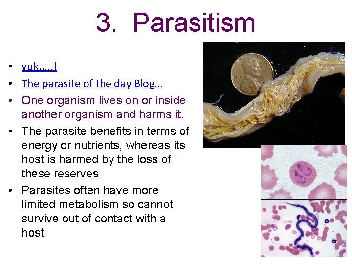 3. Parasitism • yuk. . . ! • The parasite of the day Blog.