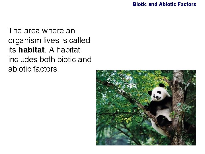Biotic and Abiotic Factors The area where an organism lives is called its habitat. Biotic and Abiotic Factors The area where an organism lives is called its habitat.