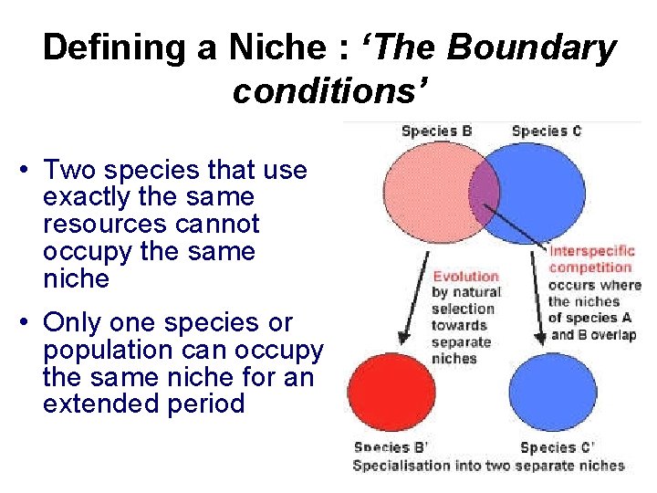 Defining a Niche : ‘The Boundary conditions’ • Two species that use exactly the