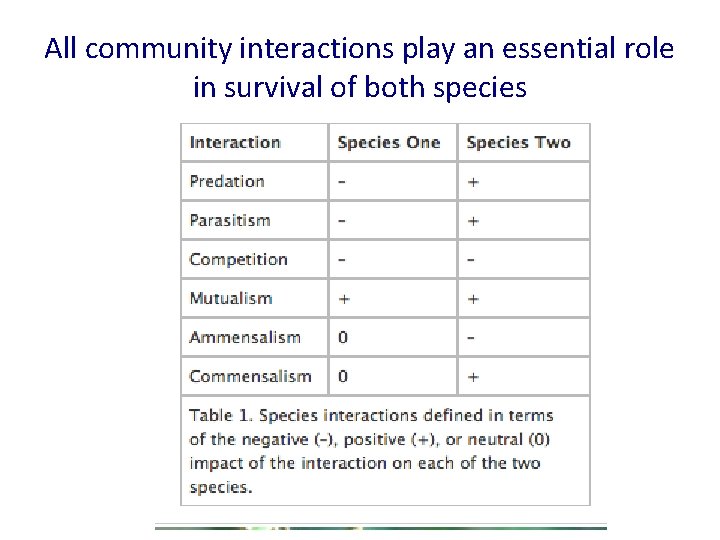 All community interactions play an essential role in survival of both species All community interactions play an essential role in survival of both species