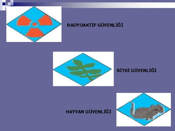 RADYOAKTİF GÜVENLİĞİ BİTKİ GÜVENLİĞİ HAYVAN GÜVENLİĞİ 