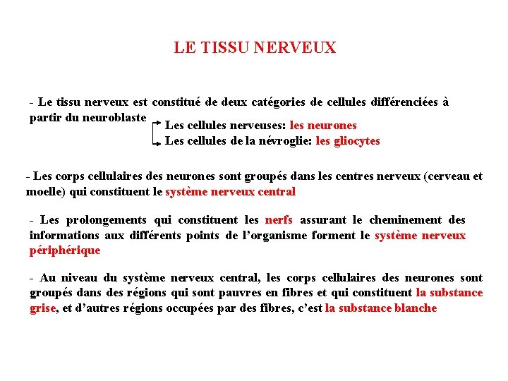 LE TISSU NERVEUX - Le tissu nerveux est constitué de deux catégories de cellules