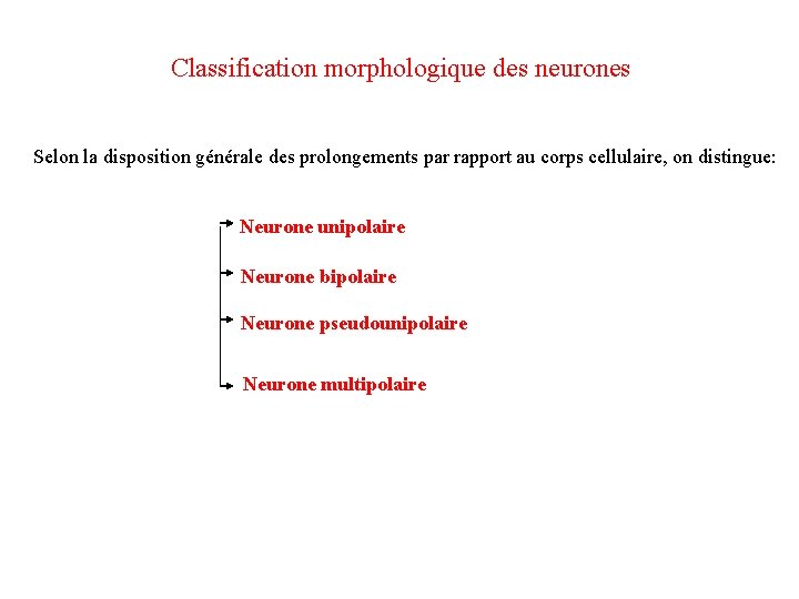 Classification morphologique des neurones Selon la disposition générale des prolongements par rapport au corps
