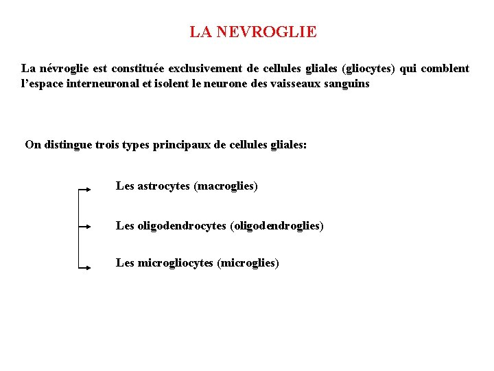 LA NEVROGLIE La névroglie est constituée exclusivement de cellules gliales (gliocytes) qui comblent l’espace