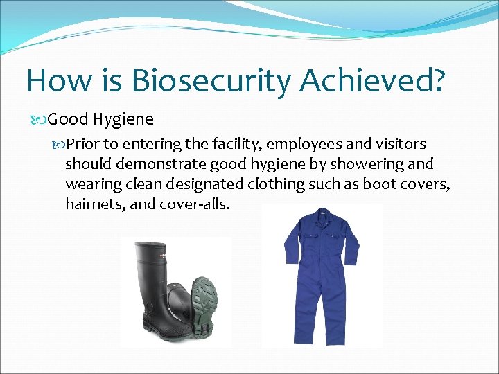 How is Biosecurity Achieved? Good Hygiene Prior to entering the facility, employees and visitors