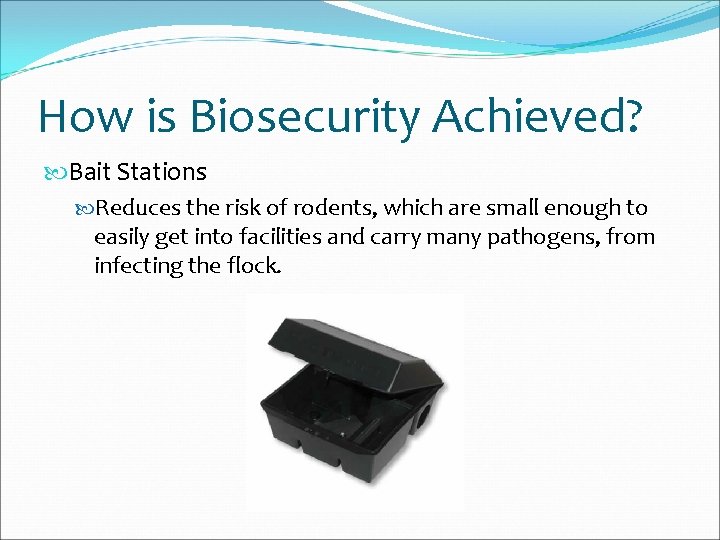 How is Biosecurity Achieved? Bait Stations Reduces the risk of rodents, which are small