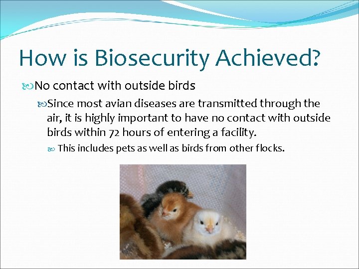 How is Biosecurity Achieved? No contact with outside birds Since most avian diseases are