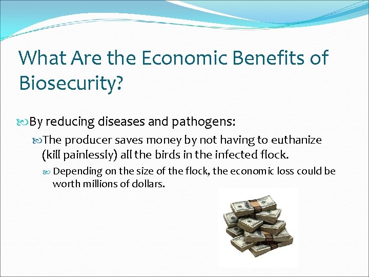 What Are the Economic Benefits of Biosecurity? By reducing diseases and pathogens: The producer