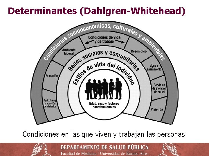 Determinantes (Dahlgren-Whitehead) Condiciones en las que viven y trabajan las personas 
