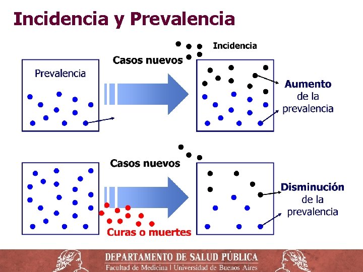 Incidencia y Prevalencia 