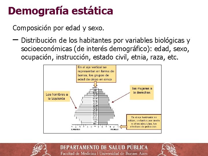 Demografía estática Composición por edad y sexo. ‒ Distribución de los habitantes por variables