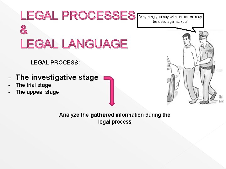 LEGAL PROCESSES & LEGAL LANGUAGE “Anything you say with an accent may be used
