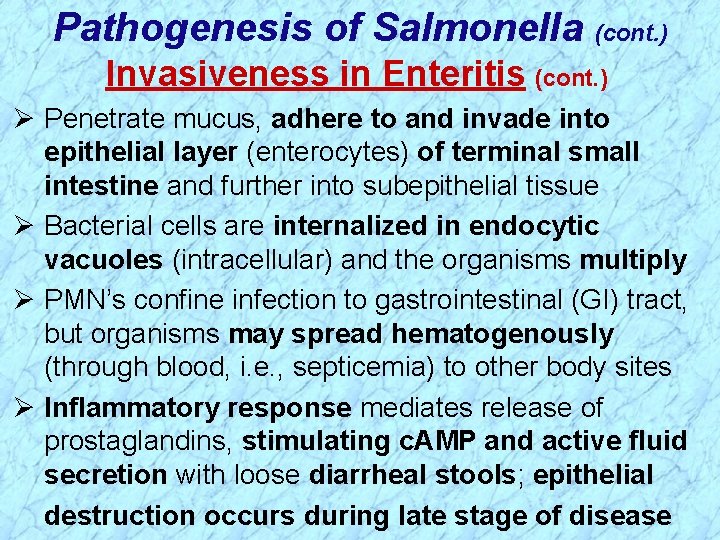 Pathogenesis of Salmonella (cont. ) Invasiveness in Enteritis (cont. ) Ø Penetrate mucus, adhere