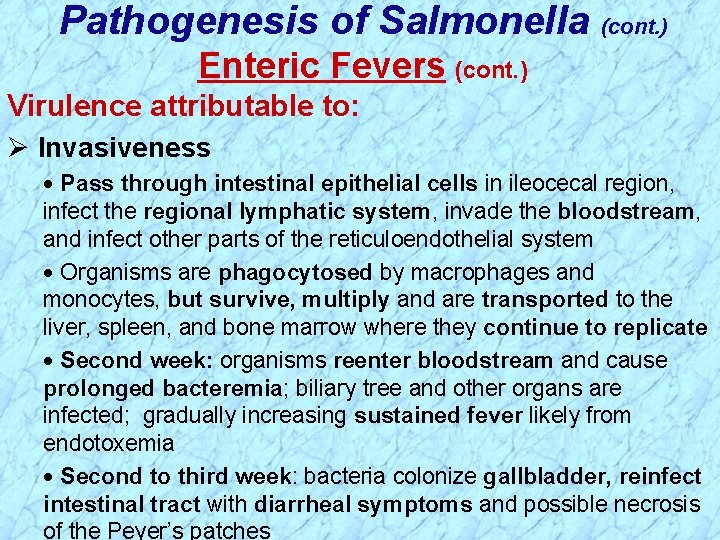 Pathogenesis of Salmonella (cont. ) Enteric Fevers (cont. ) Virulence attributable to: Ø Invasiveness