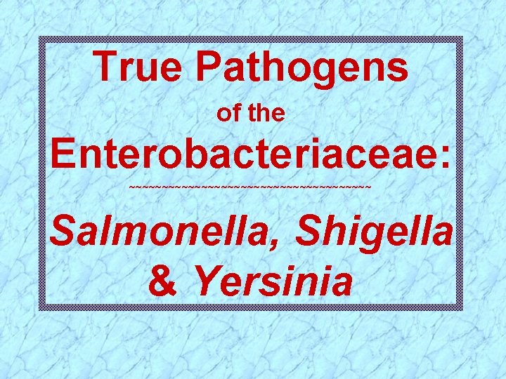 True Pathogens of the Enterobacteriaceae: ~~~~~~~~~~~~~~~~~~~ Salmonella, Shigella & Yersinia 
